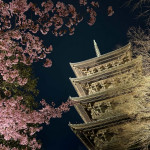5/12(火)春の京都旅行2026