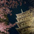 5/12（火）春の京都旅行2026