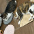 5/1（金）保護猫カフェに行きました。