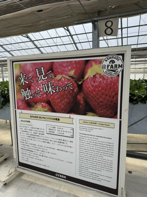 いちご狩り ハウス内案内板