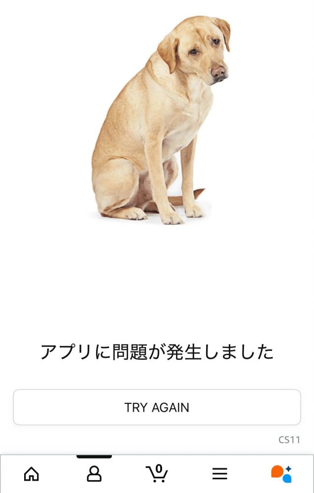 アプリエラー