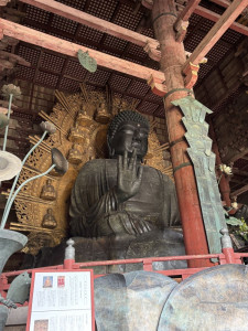 Image (2)