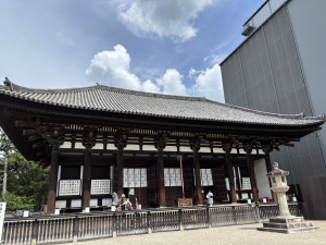 Image (4)