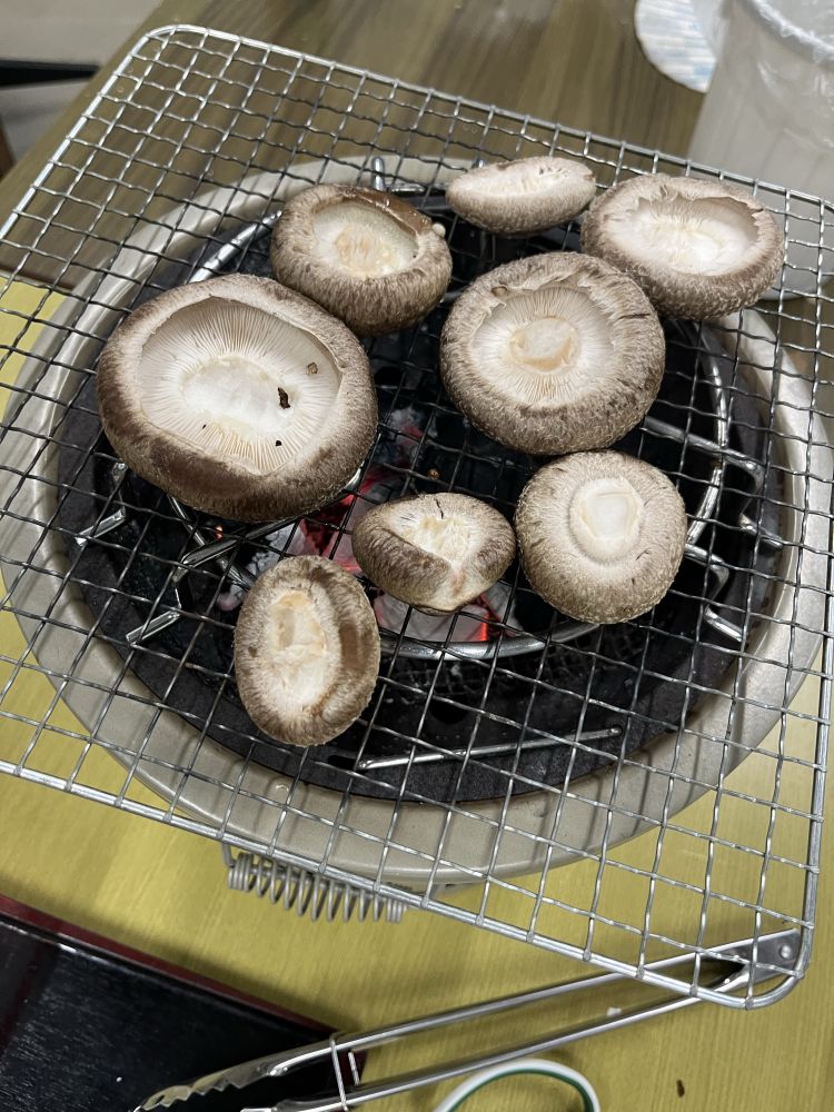 Image-_3__1
