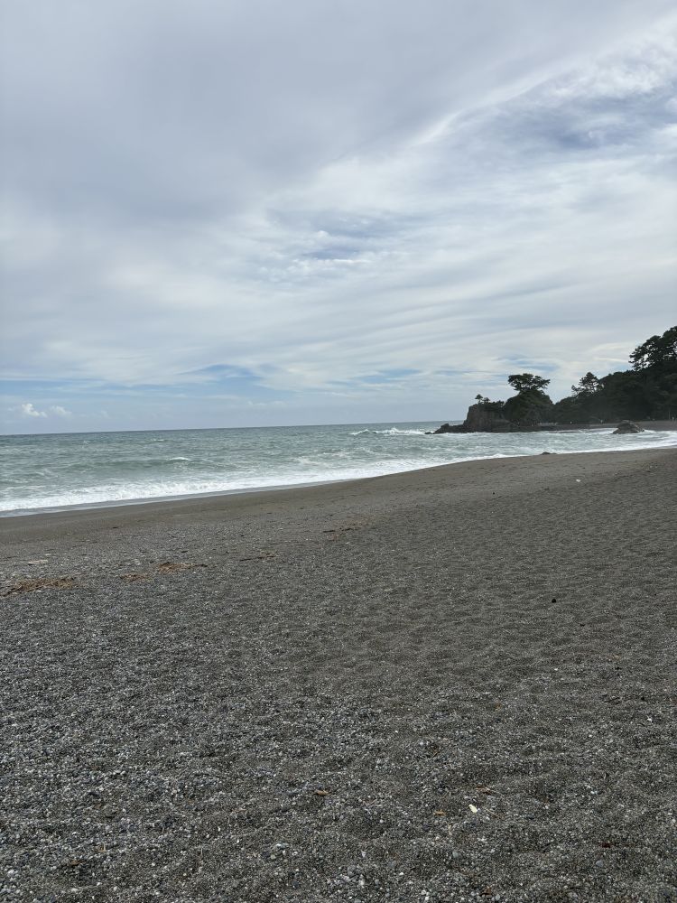 Image (5)
