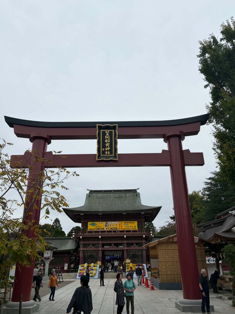 601558fc-dab2-4c61-bd93-c521806aca76