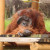 10/30(金)動物園でカメラ散歩 10/30(金)動物園でカメラ散歩