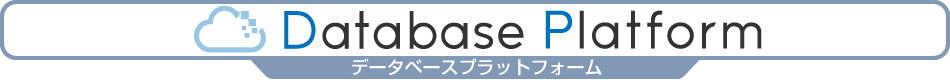 DatabasePlatform