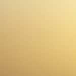 6/22（金）祝！特許取得「QR翻訳シール」