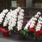 『直近3年間で増えた業種、減った業種ランキング』～保育園躍進、本屋、家具屋の小売廃業へ、コンビニ統廃合進む～