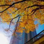 2016年11月版のデータ整備を行いました。