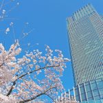 2022年3月新規設立企業ランキング！東京都3962社/大阪府1129社/神奈川県792社/愛知県666社　【全47都道府県別】