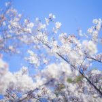 全国の主婦に聞いた「新生活への期待と不安とは？」