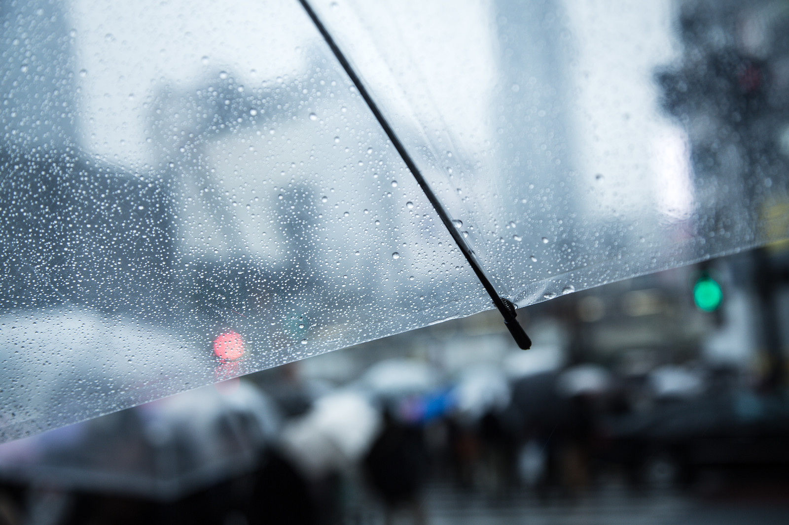 梅雨入り本番 雨の日のお出かけは データ活用なう