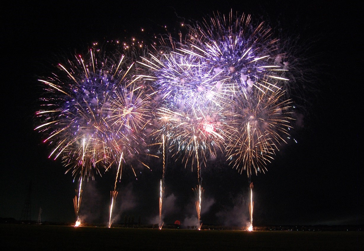 夏の風物詩 花火大会 みなさんは誰と見にいきますか データ活用なう