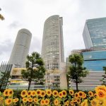 2022年8月新規設立企業ランキング！東京都3750件/大阪府1236社/神奈川県822件/愛知県642件【全47都道府県別】
