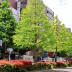 2023年6月新規設立企業ランキング！東京都3730件/大阪府1236社/神奈川県819社/愛知県611社【全47都道府県別】