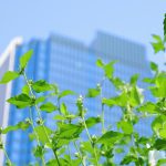 2023年2月新規設立企業ランキング！東京都3258社/大阪府1096社/神奈川県714社/愛知県516社　【全47都道府県別】