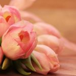 あなたは好き？出会いと別れの春！