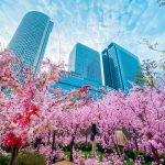 2023年4月新規設立企業ランキング！東京都3439件/大阪府1136社/神奈川県740社/愛知県599社【全47都道府県別】