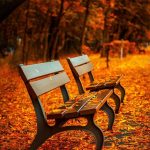 紅葉の秋がやってくる！紅葉ついて！
