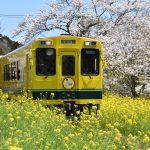 移動や通勤に便利！電車移動について大調査！【1000人アンケート】