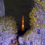 冬を彩るイルミネーションについての大調査【1000人アンケート】