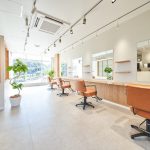 2024年12月版　開業開店データの整備結果速報！