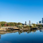 2025年1月版のデータ整備を行いました。