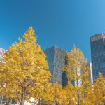 2025年10月版のデータ整備を行いました。