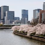 2026年3月版のデータ整備を行いました。