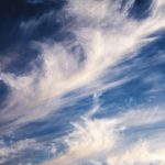 暖かい季節の幕開けを告げる春一番についての大調査!!【1000人アンケート】