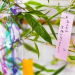 年に1度の七夕、みんなはどう過ごす?願いごとや予定を調査!【1000人アンケート】