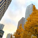 2026年9月版のデータ整備を行いました。