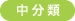 中分類