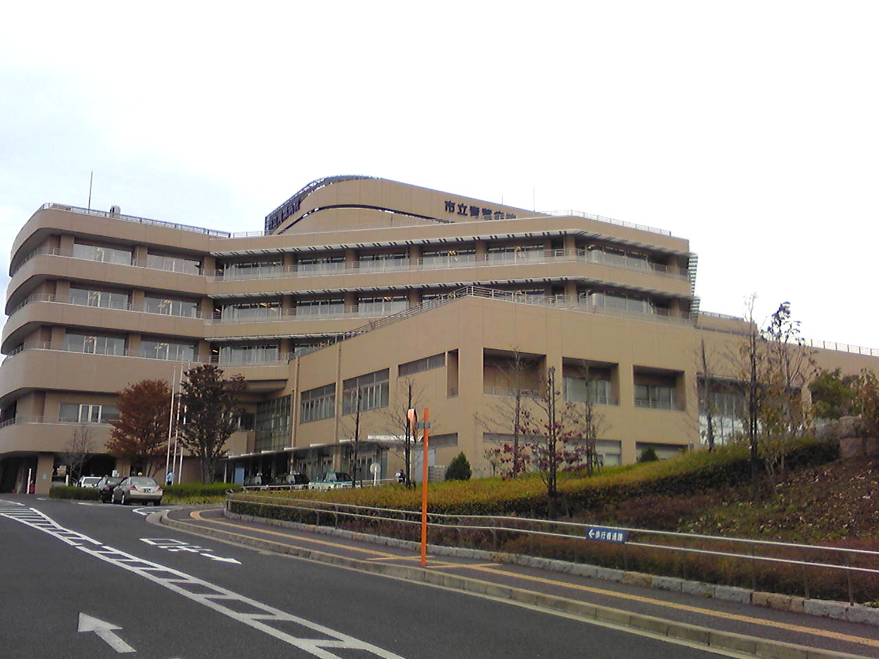 写真4