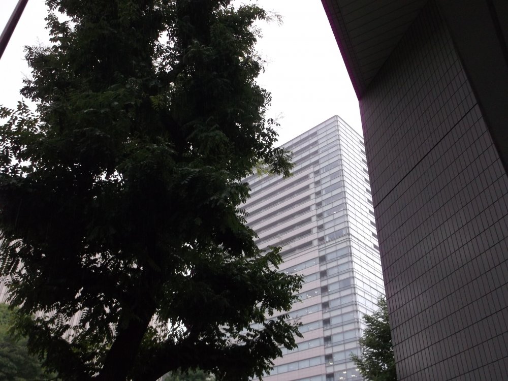 DSCF1164