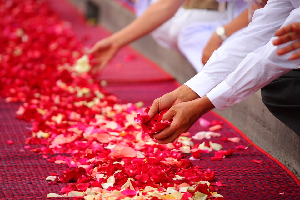 rose-petals-462363_960_720