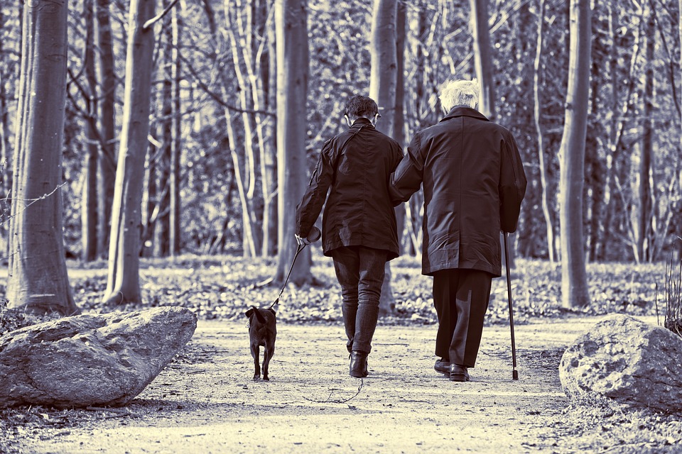 elderly-couple-3304384_960_720
