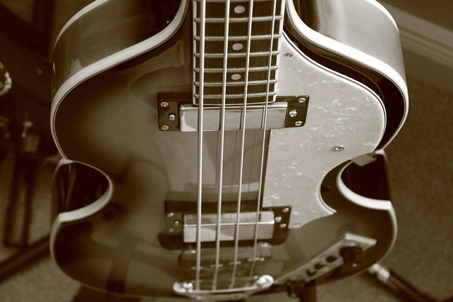 bass-guitar-433969_640