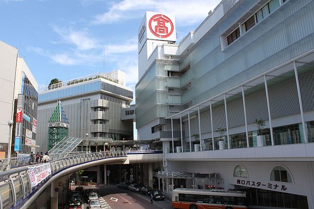 柏駅_-_panoramio