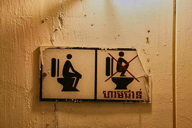 toilet-4340542_640