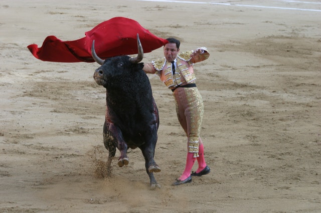 matador-786657