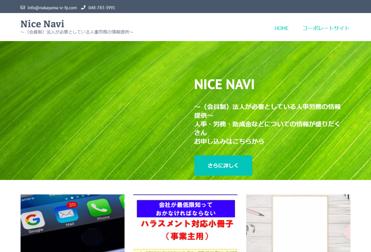 Nice Navi