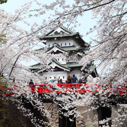 青森県庁様