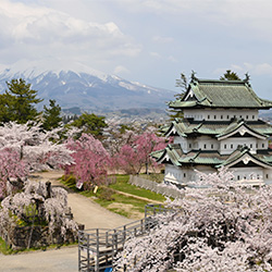 青森県弘前市様