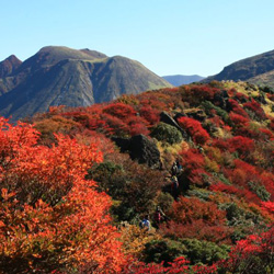 大分県庁様