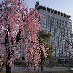 栃木県庁様