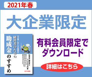 大企業限定小冊子